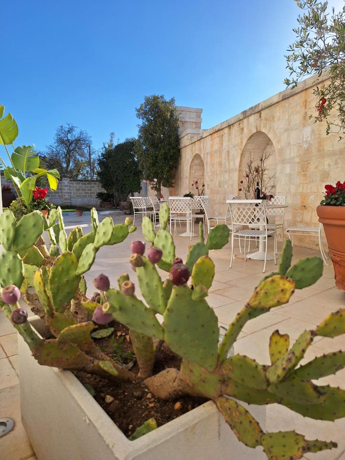 B&B Le Torri ซานเตราโม อิน คอลเล ภายนอก รูปภาพ